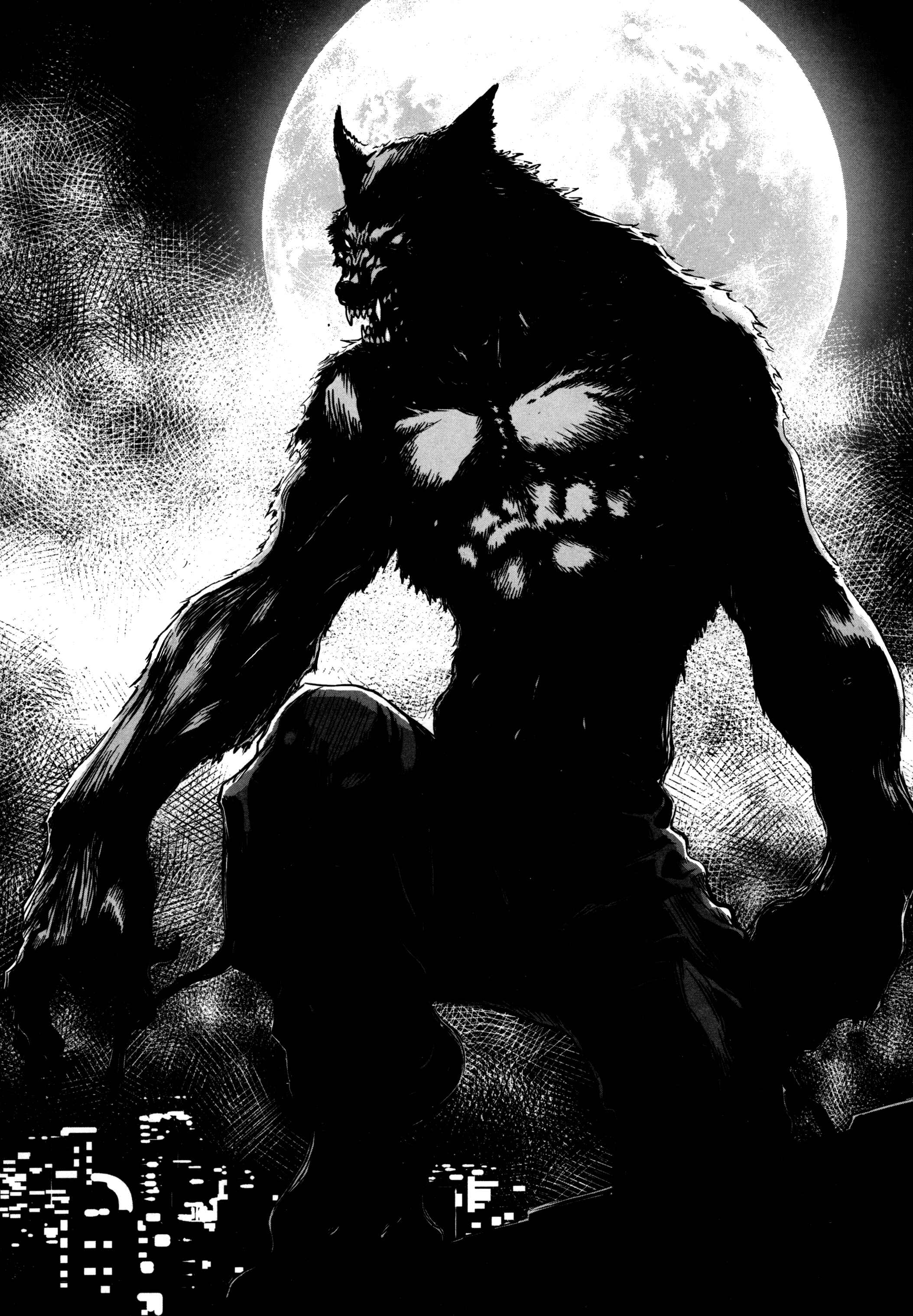 Page 19 Chapter 45 Wolf Guy - Emblem of the Wolf