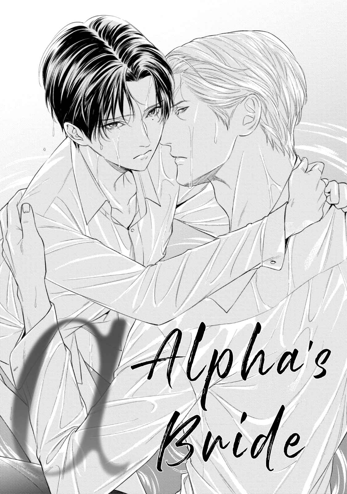 Page 2 Chapter 8 The Alphas Bride