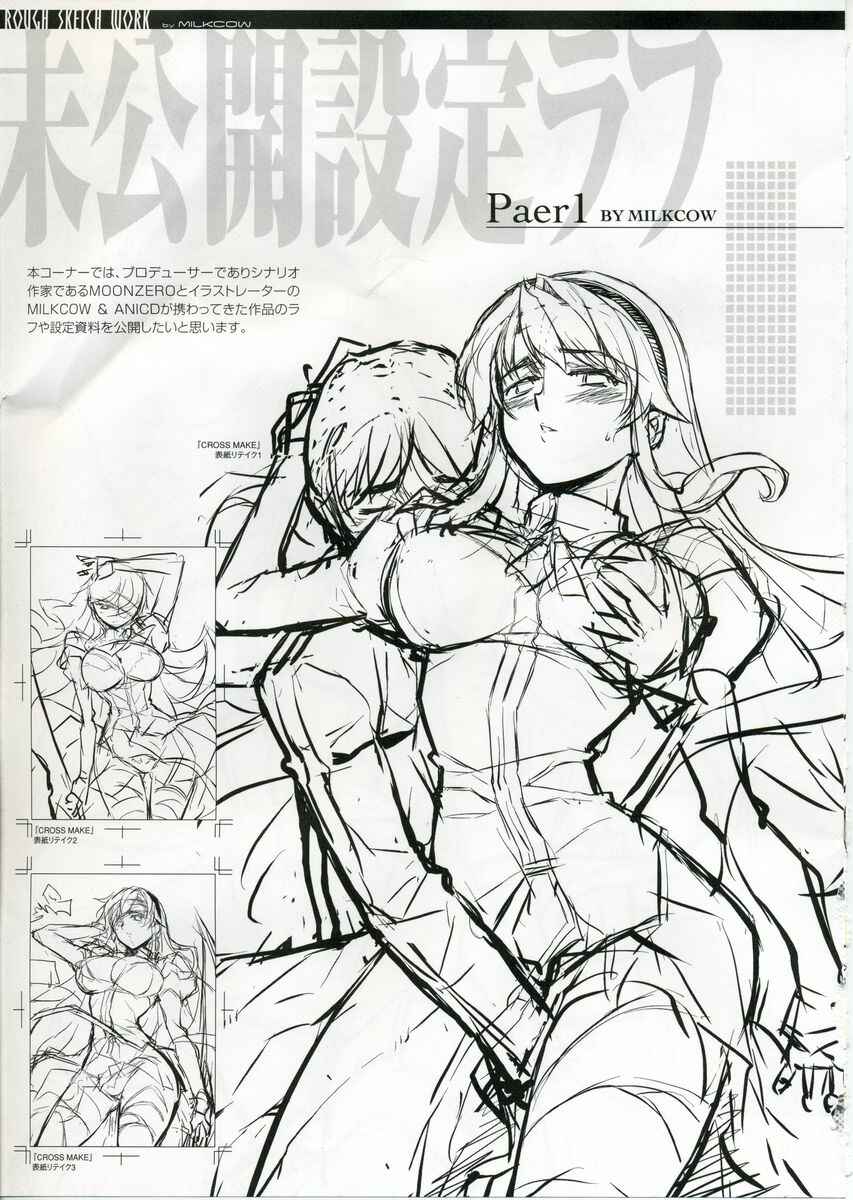 Page 3 Chapter 2 Cross Make