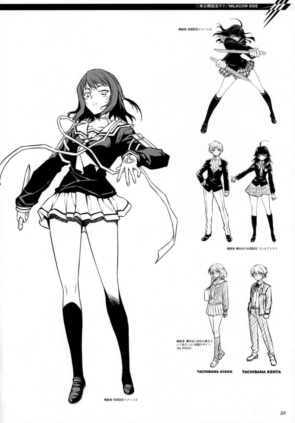 Page 21 Chapter 2 Cross Make