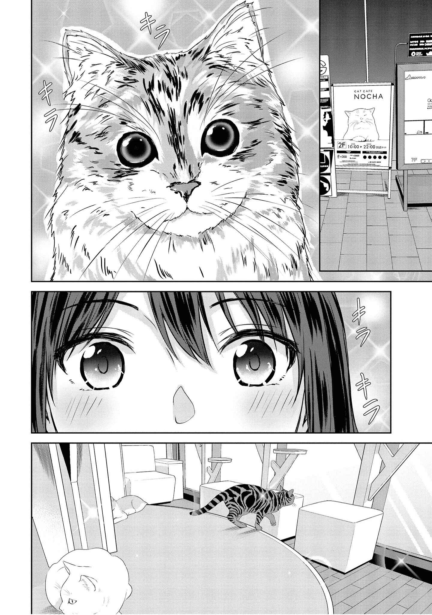 Page 14 Chapter 4 Ienai Himitsu No Aishikata