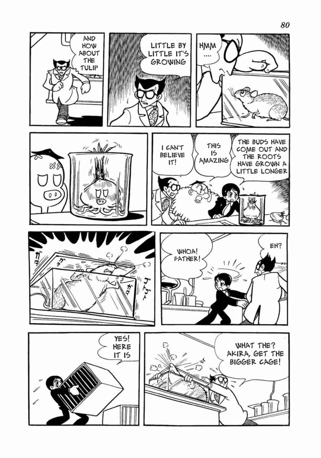 Page 6 Chapter 2 Big X