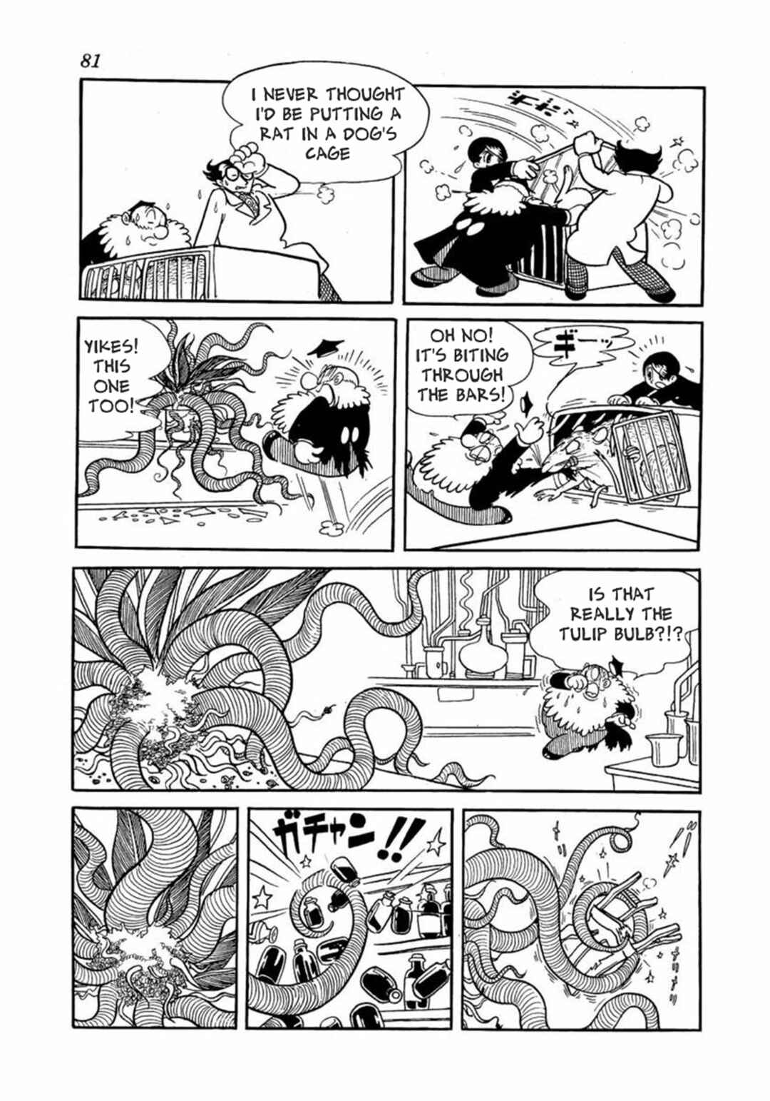 Page 7 Chapter 2 Big X