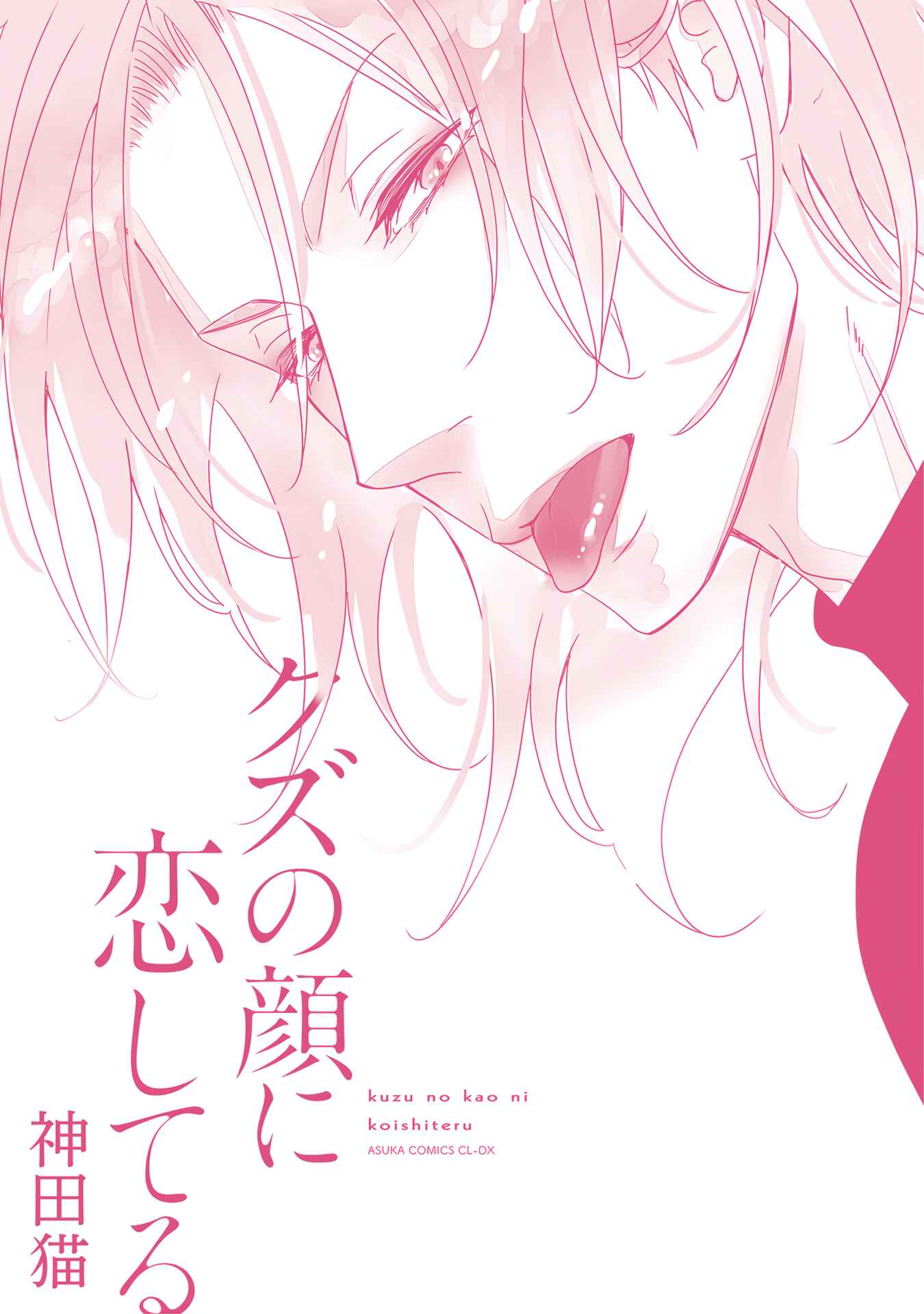 Page 13 Chapter 5.5 Kuzu no Kao ni Koishiteru