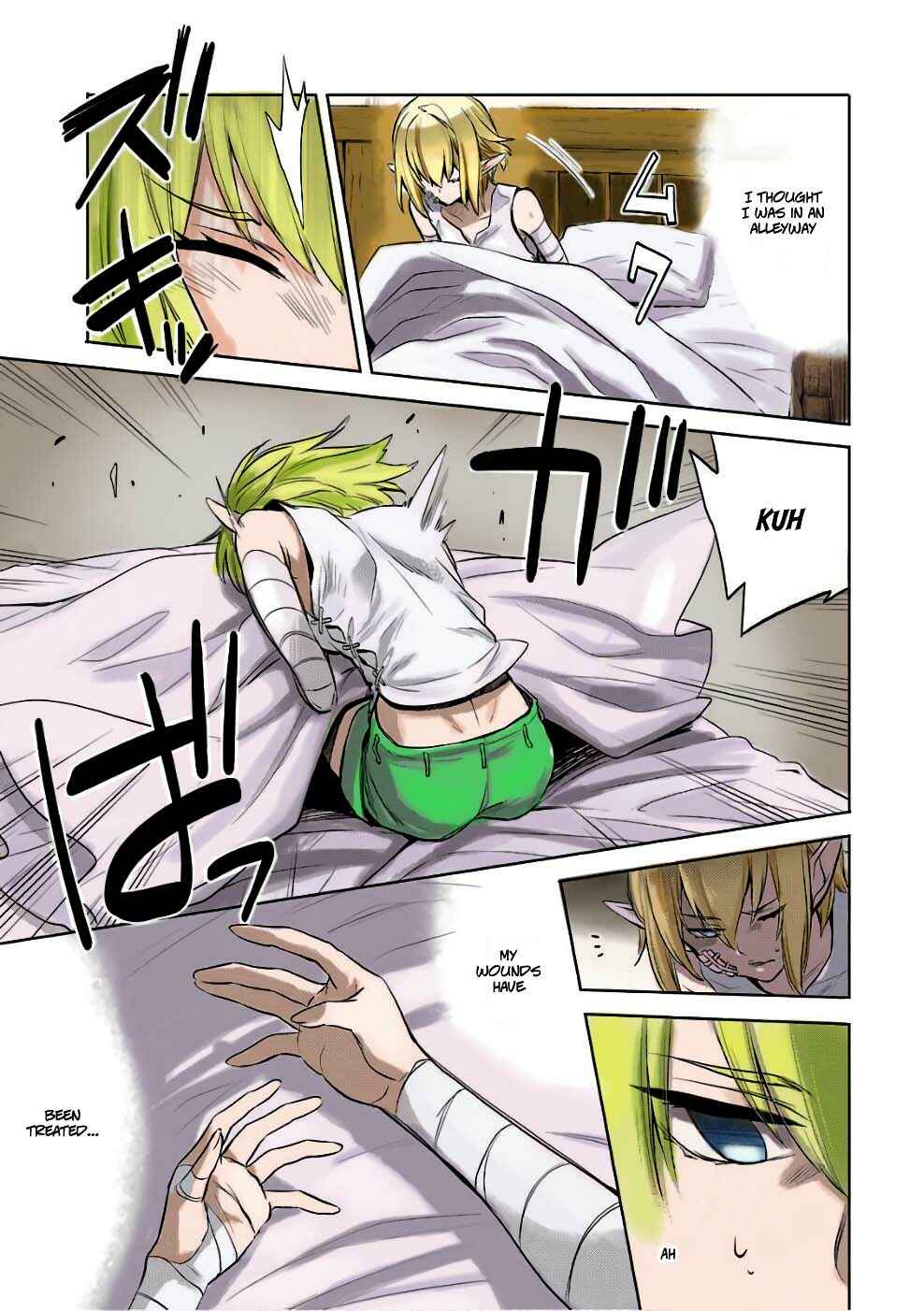 Page 12 Chapter 11 (Fan Colored) DanMachi - Familia Chronicle: Episode Ryuu