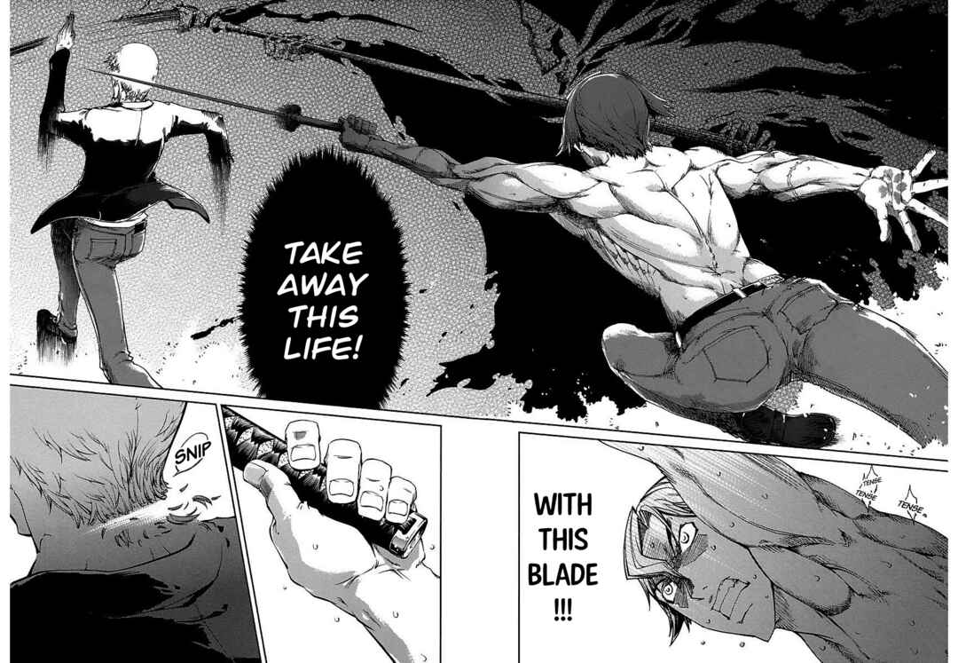 Page 15 Chapter 20 Blade Breaker