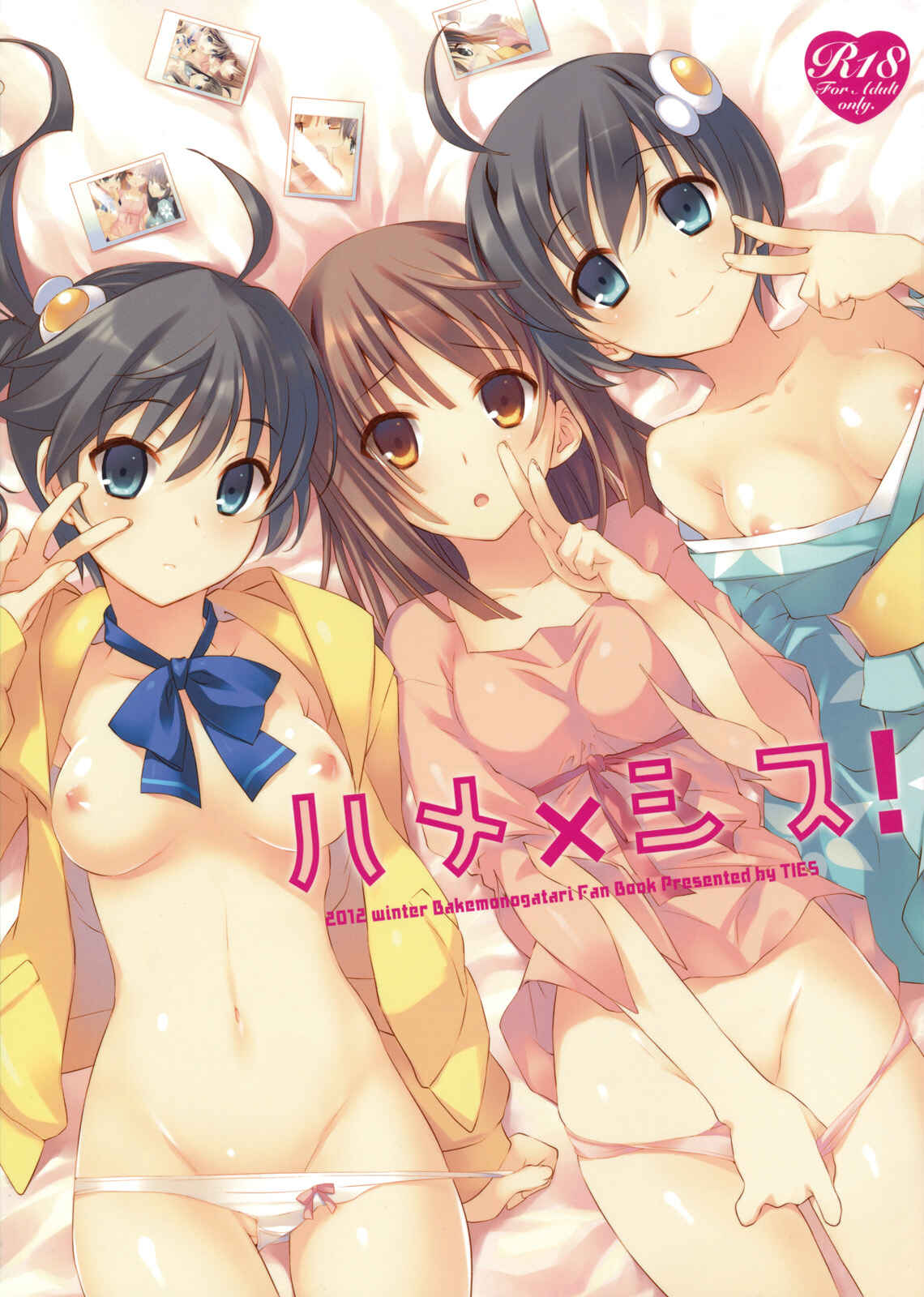Page 1 Chapter Unknown_f708 Bakemonogatari - Hame x Sis (Doujinshi)
