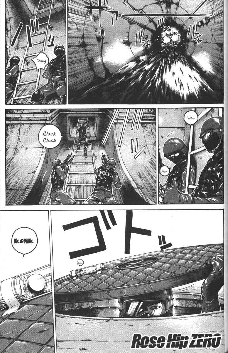 Page 1 Chapter 9 Rose Hip Zero