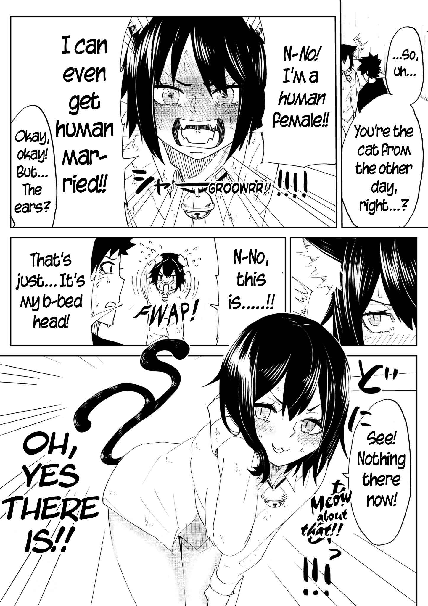 Page 3 Chapter 1 The Cat Who Wanted to be a Bride