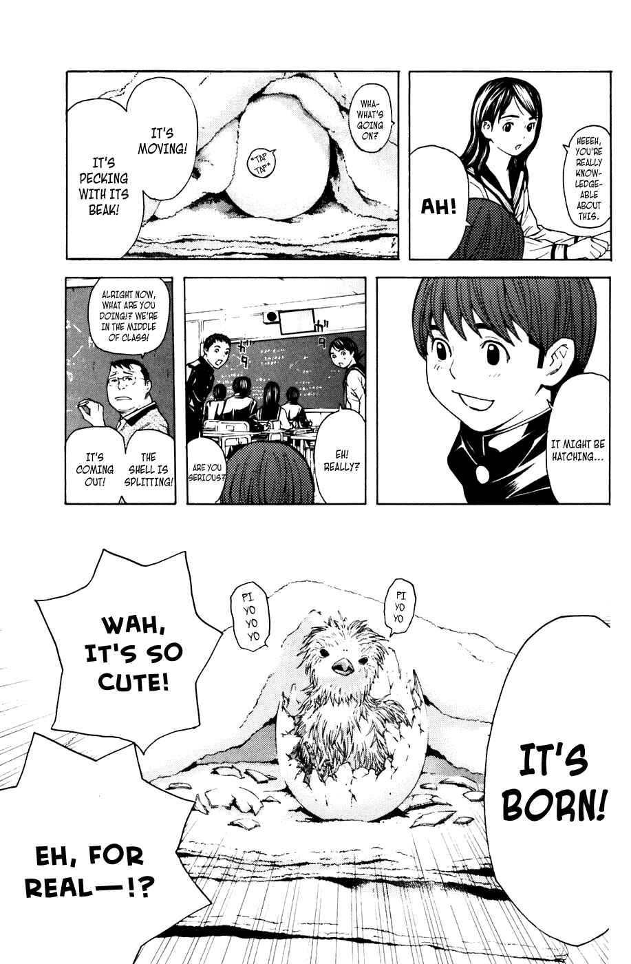 Page 3 Chapter 48 Shibatora