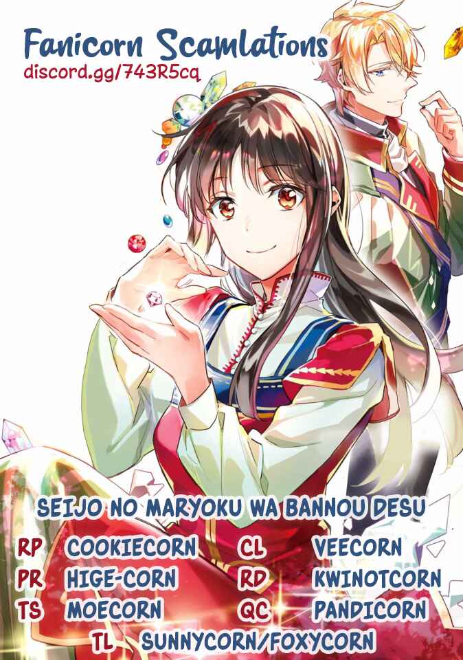 Page 13 Chapter 19.5 Seijo no Maryoku wa Bannou desu