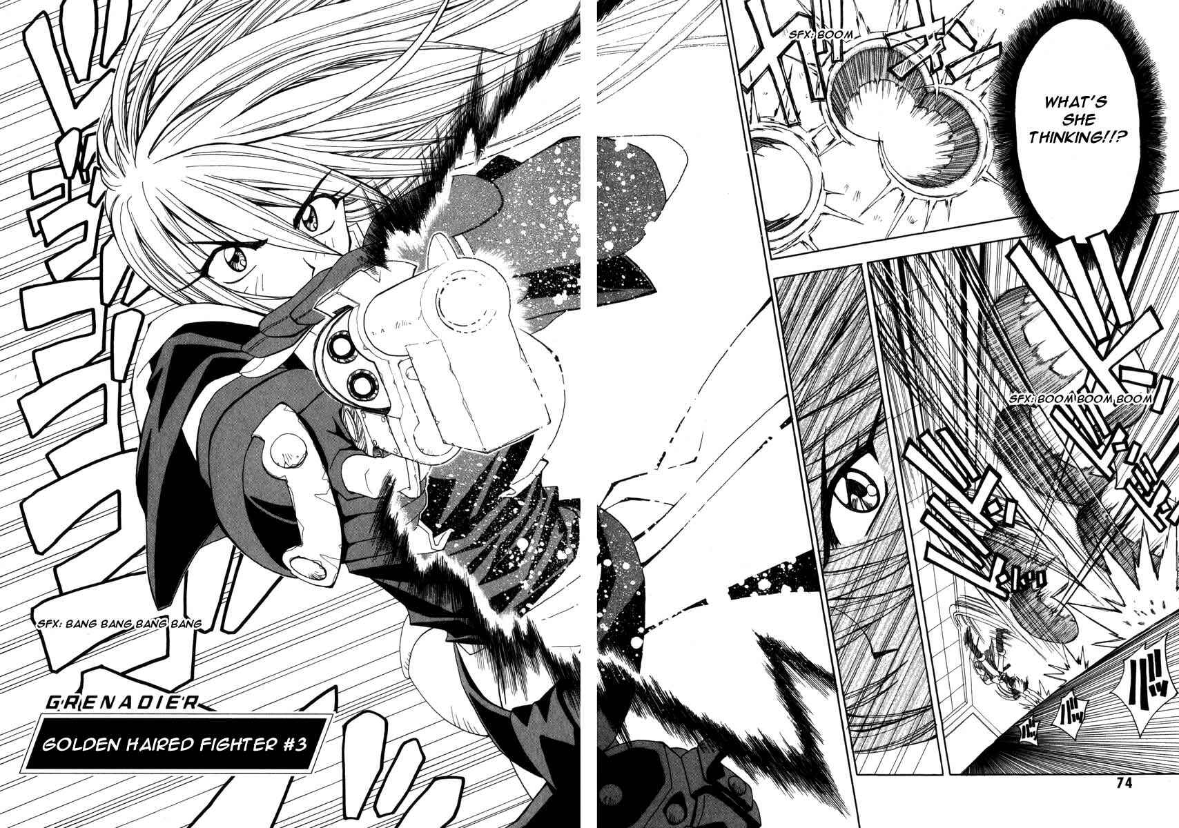 Page 2 Chapter 3 Grenadier