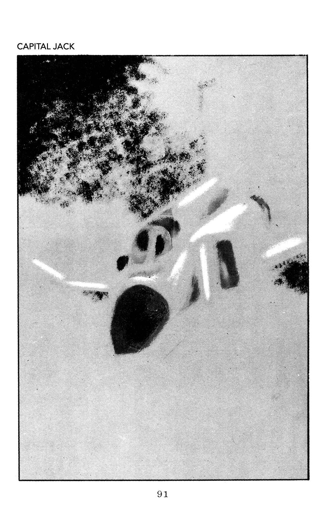 Page 39 Chapter 3 Legends in the Dark