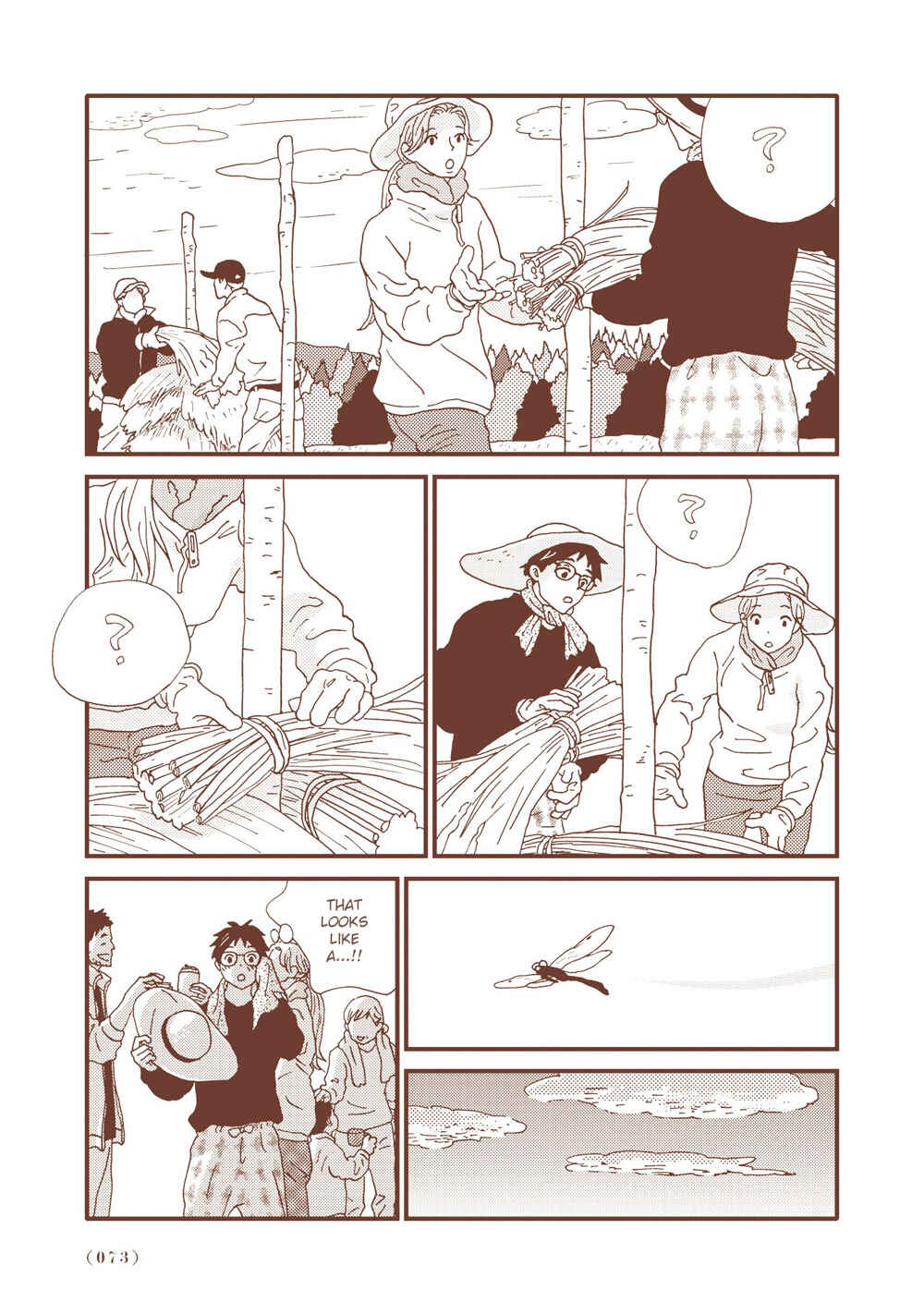 Page 17 Chapter 3 Country Diary