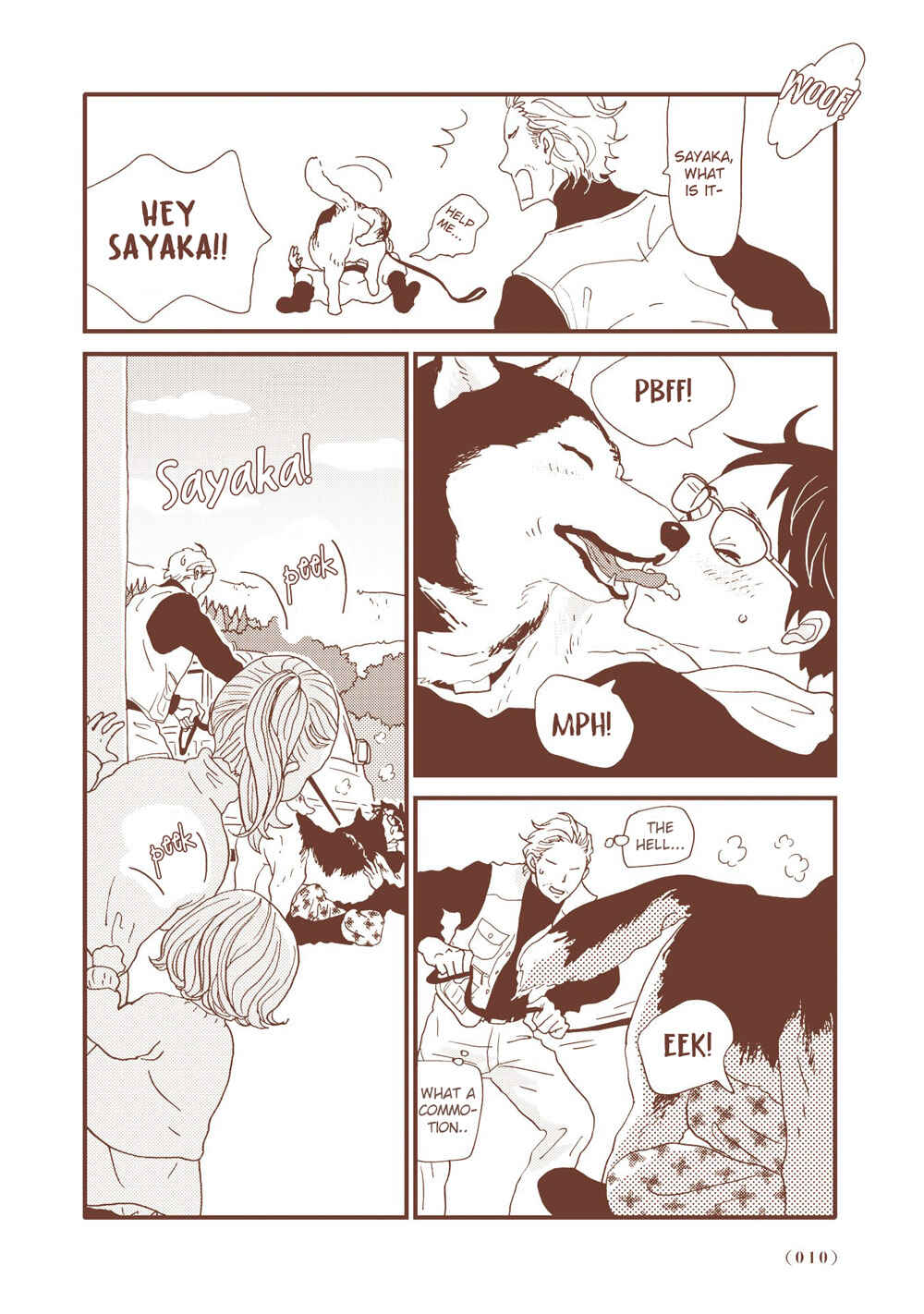 Page 9 Chapter 1 Country Diary