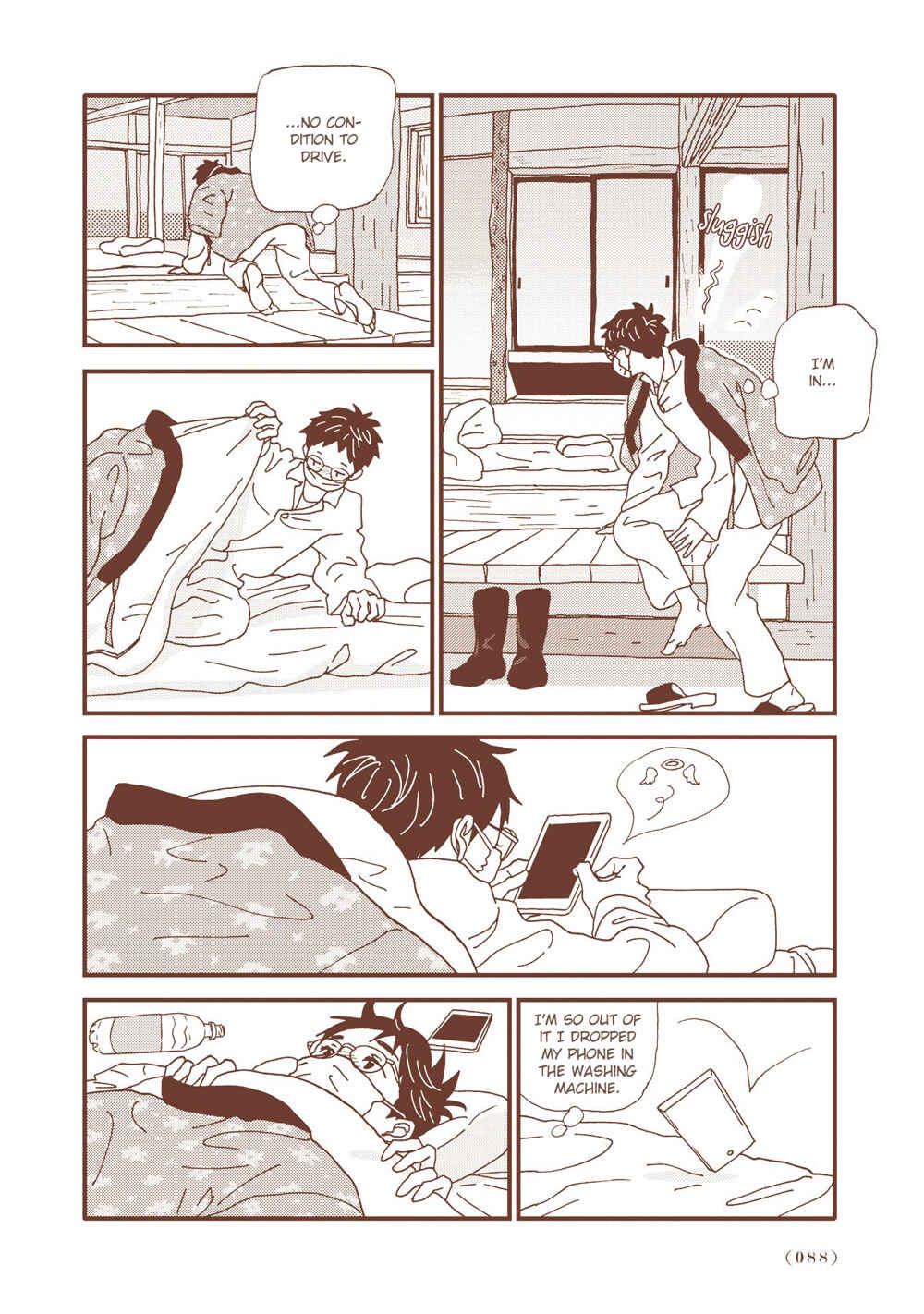 Page 4 Chapter 5 Country Diary