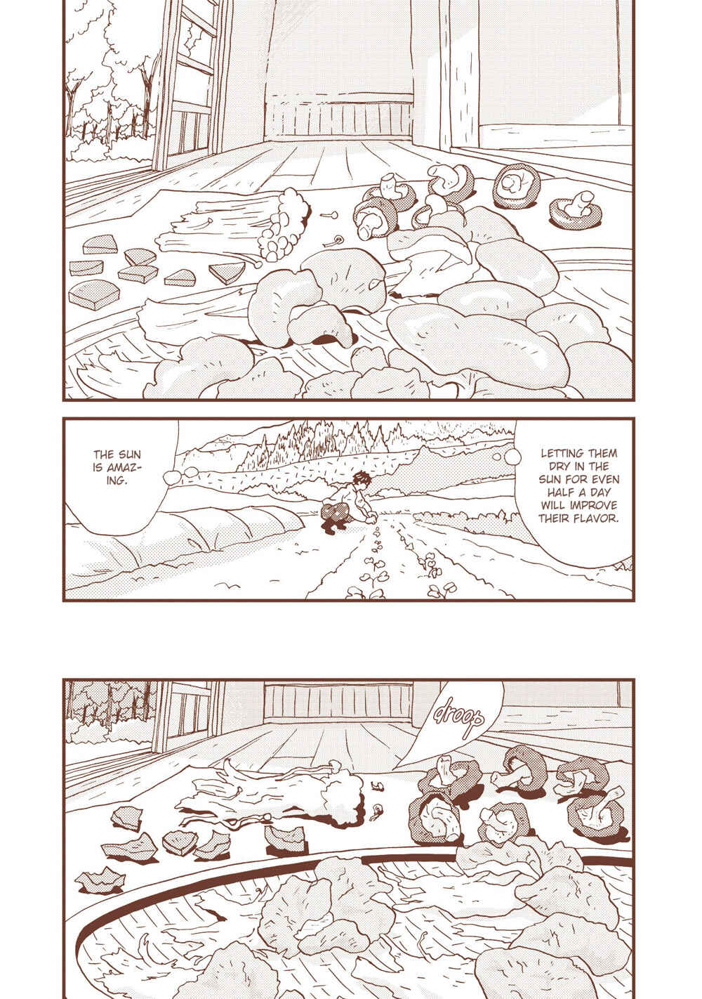 Page 6 Chapter 7 Country Diary