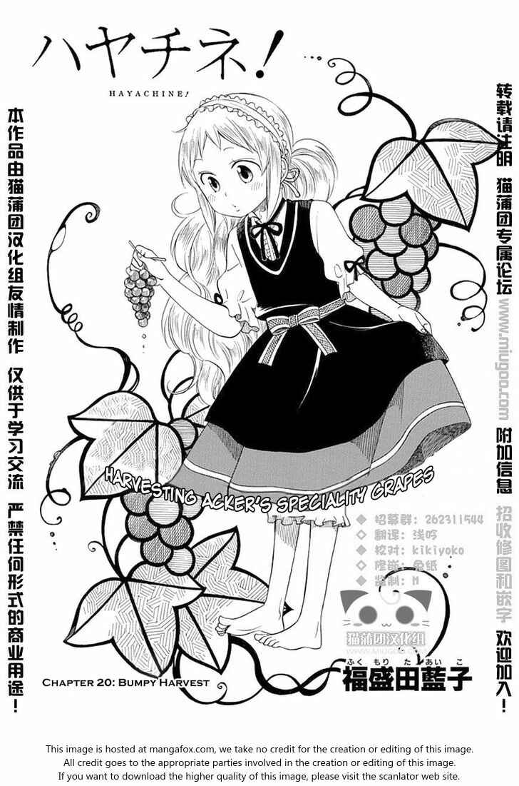 Page 2 Chapter 20 Hayachine!