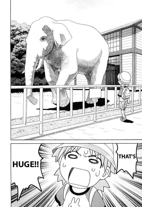 Page 20 Chapter 19 Yotsuba to!