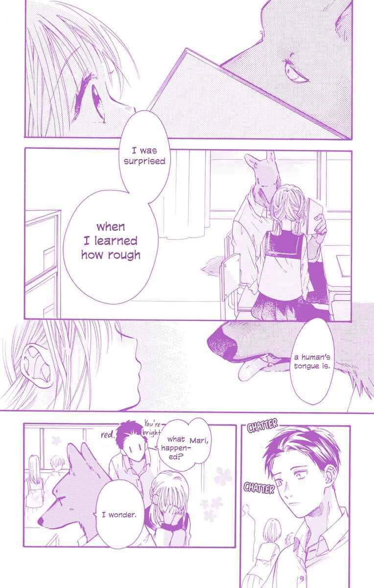 Page 3 Chapter 12.1 Kimi to Koete Koi ni Naru