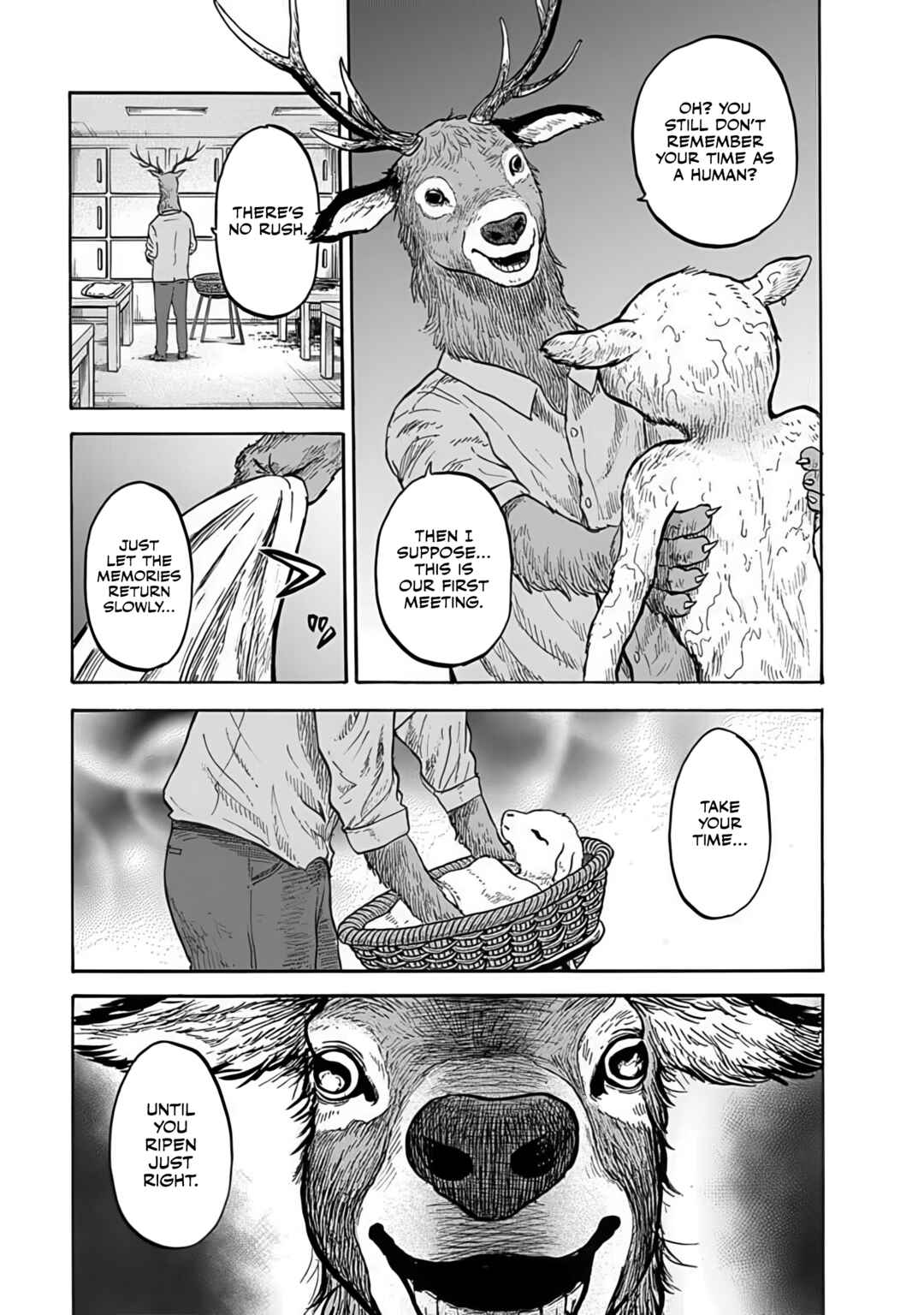 Page 31 Chapter 5 Animan