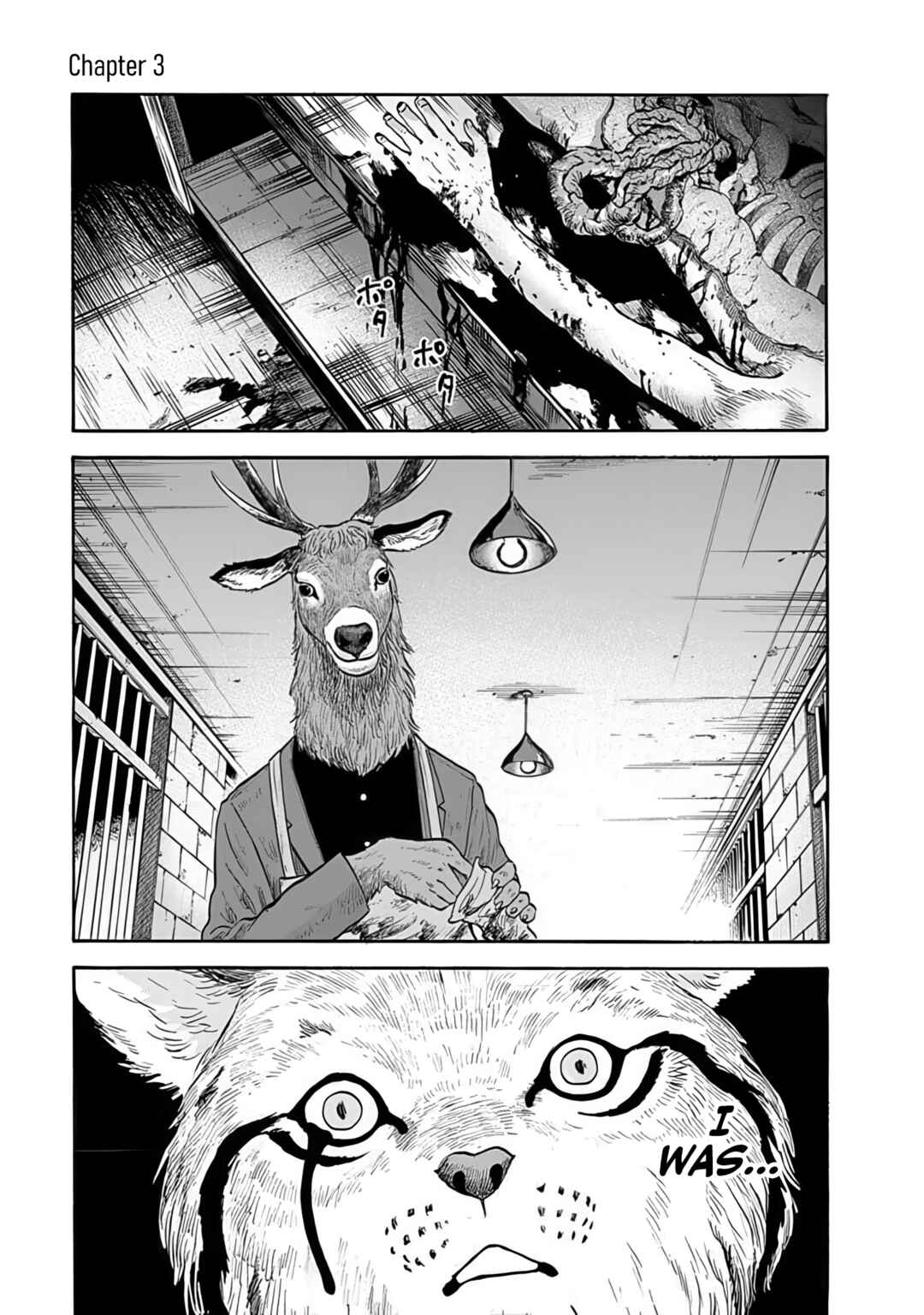 Page 1 Chapter 3 Animan