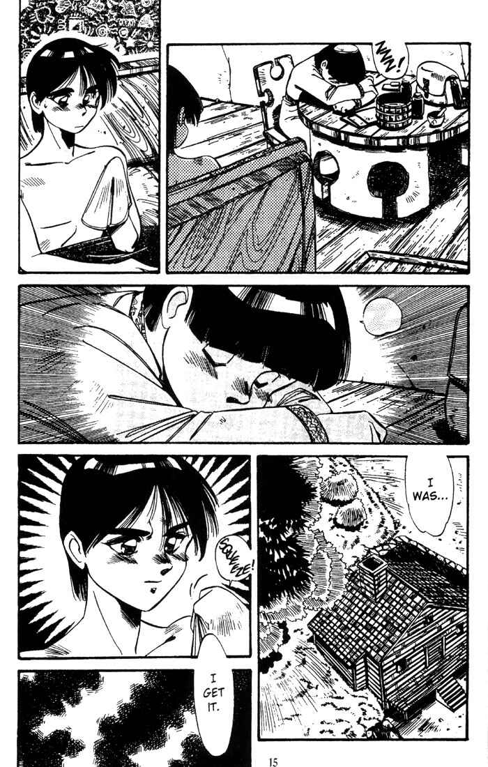 Page 17 Chapter 2 Record of Lodoss War - The Grey Witch