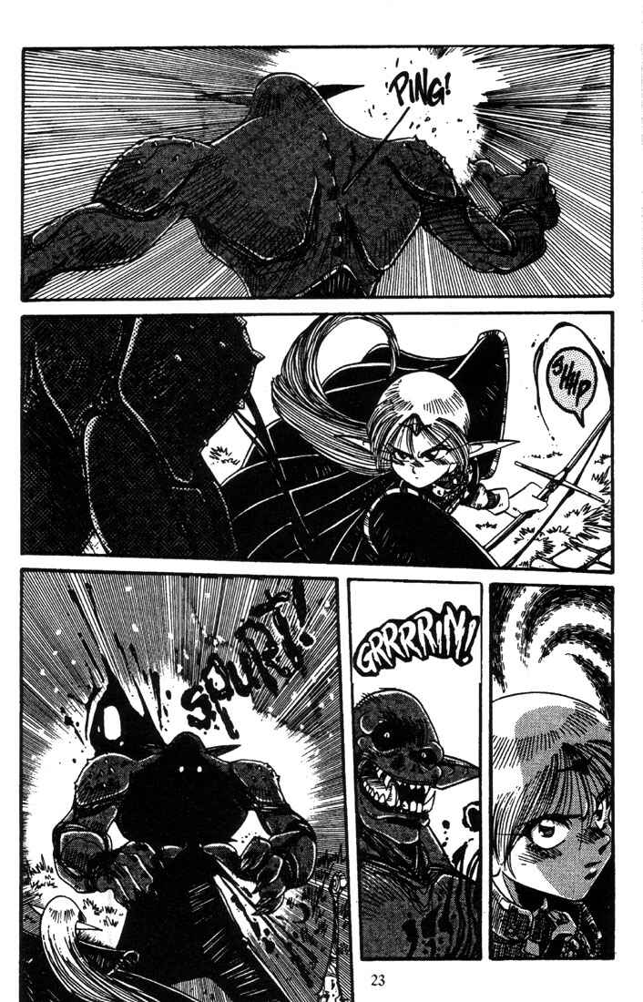 Page 25 Chapter 5 Record of Lodoss War - The Grey Witch