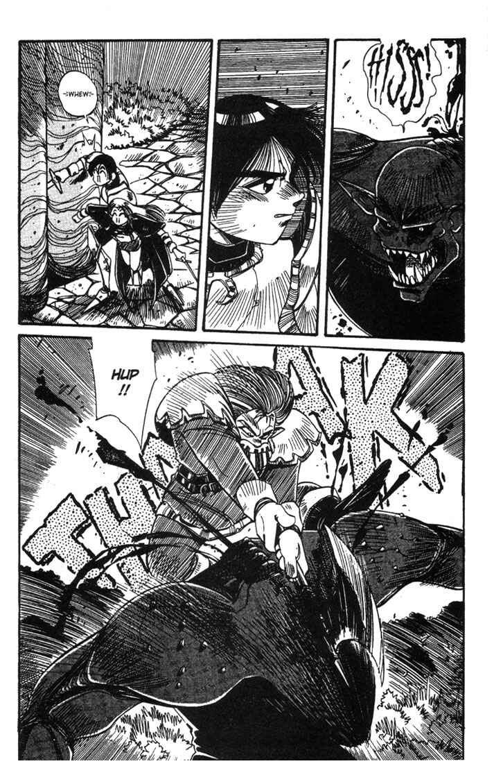 Page 27 Chapter 5 Record of Lodoss War - The Grey Witch