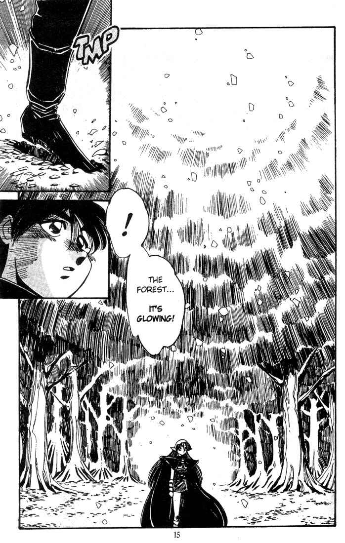 Page 17 Chapter 7 Record of Lodoss War - The Grey Witch