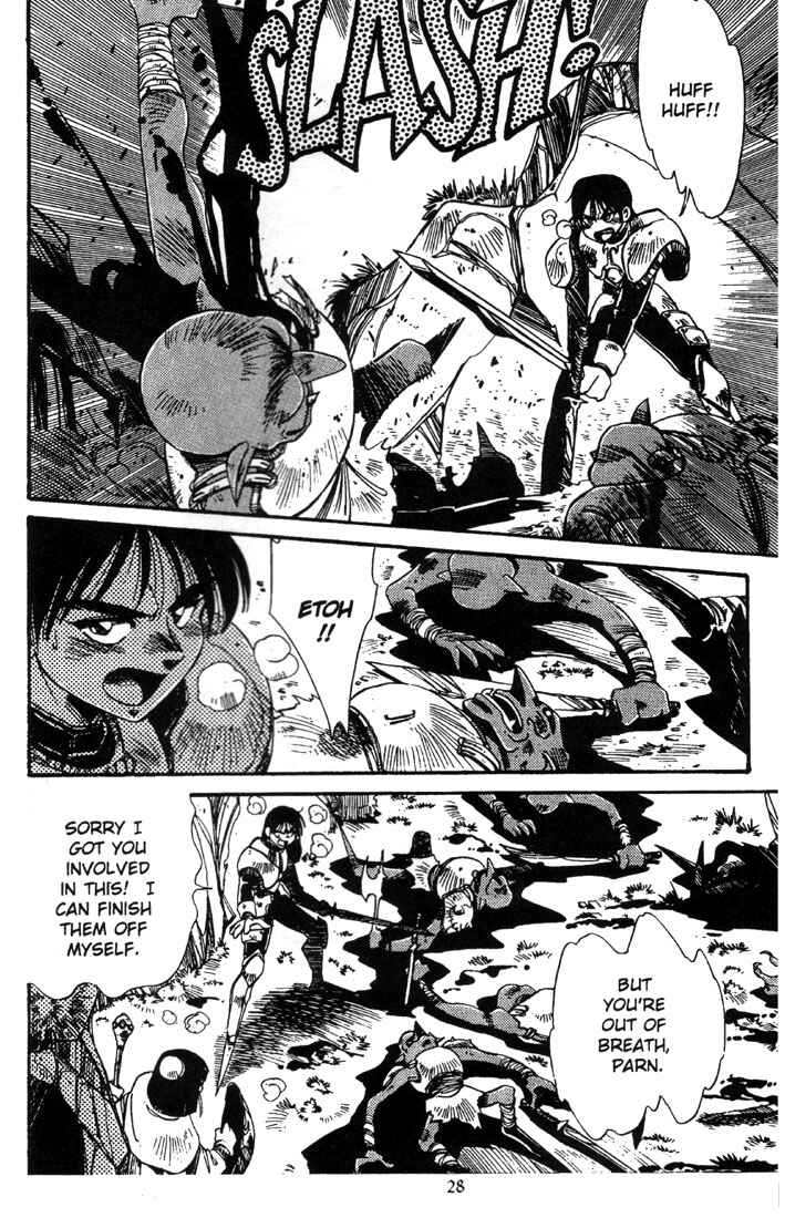 Page 29 Chapter 1 Record of Lodoss War - The Grey Witch