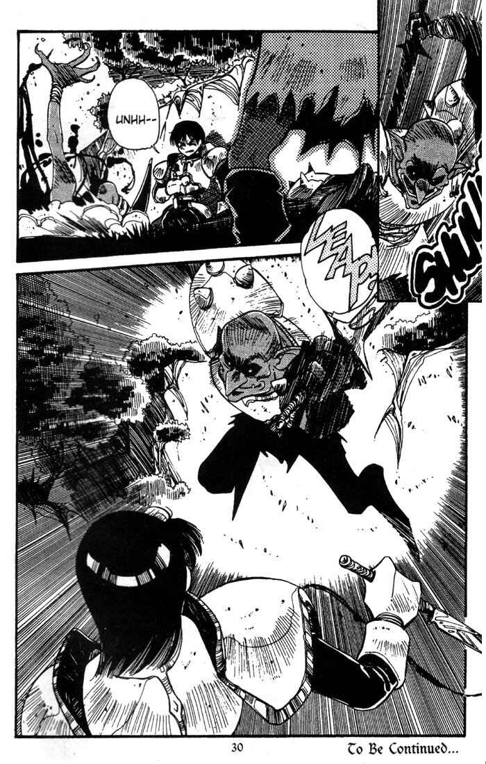Page 31 Chapter 1 Record of Lodoss War - The Grey Witch