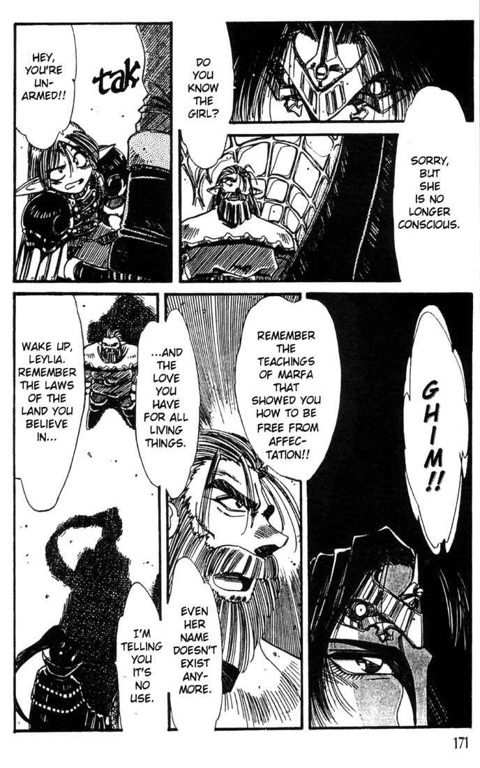 Page 14 Chapter 22 Record of Lodoss War - The Grey Witch