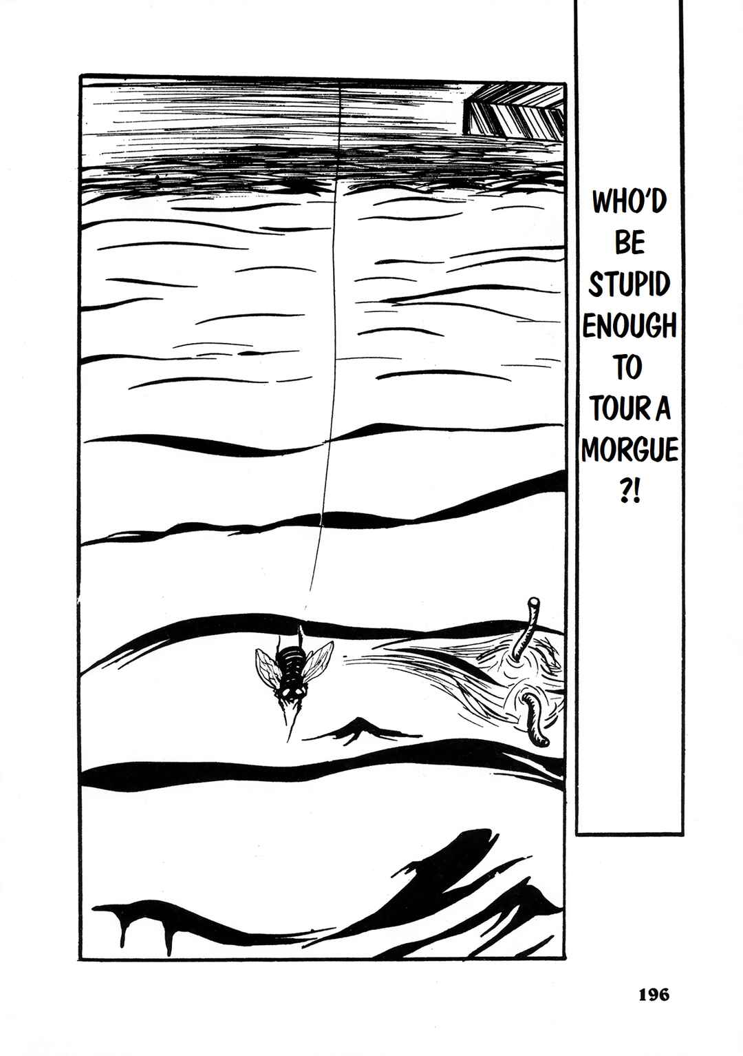 Page 1 Chapter 12 Human Clock