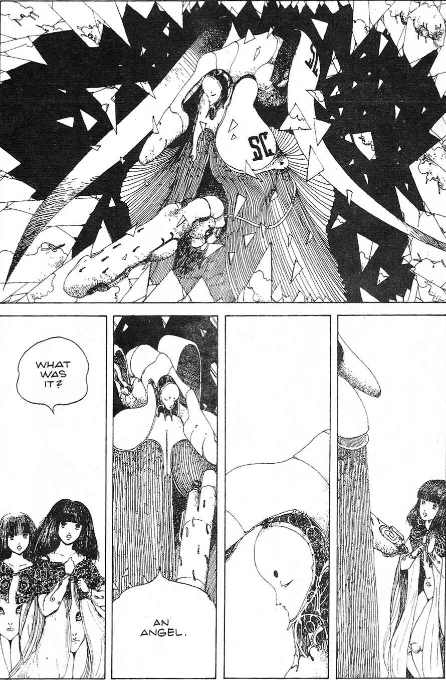 Page 11 Chapter Unknown_fc4c Angel Fusion