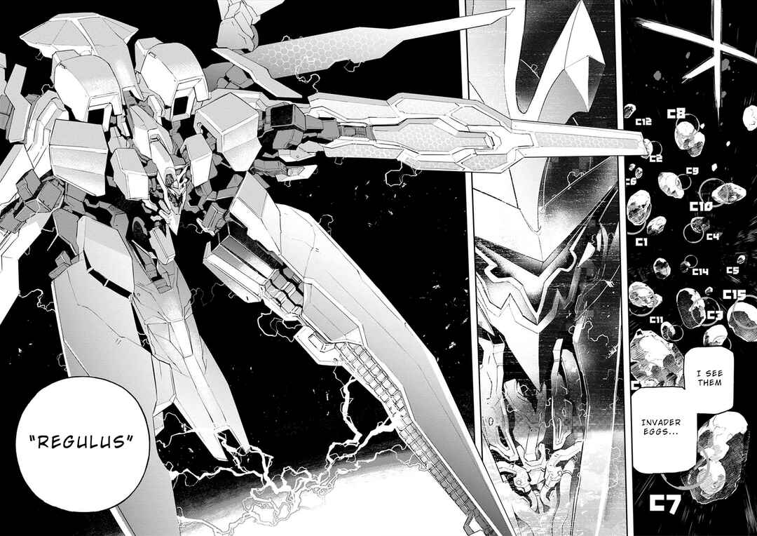 Page 2 Chapter 14 Cosmic Censorship