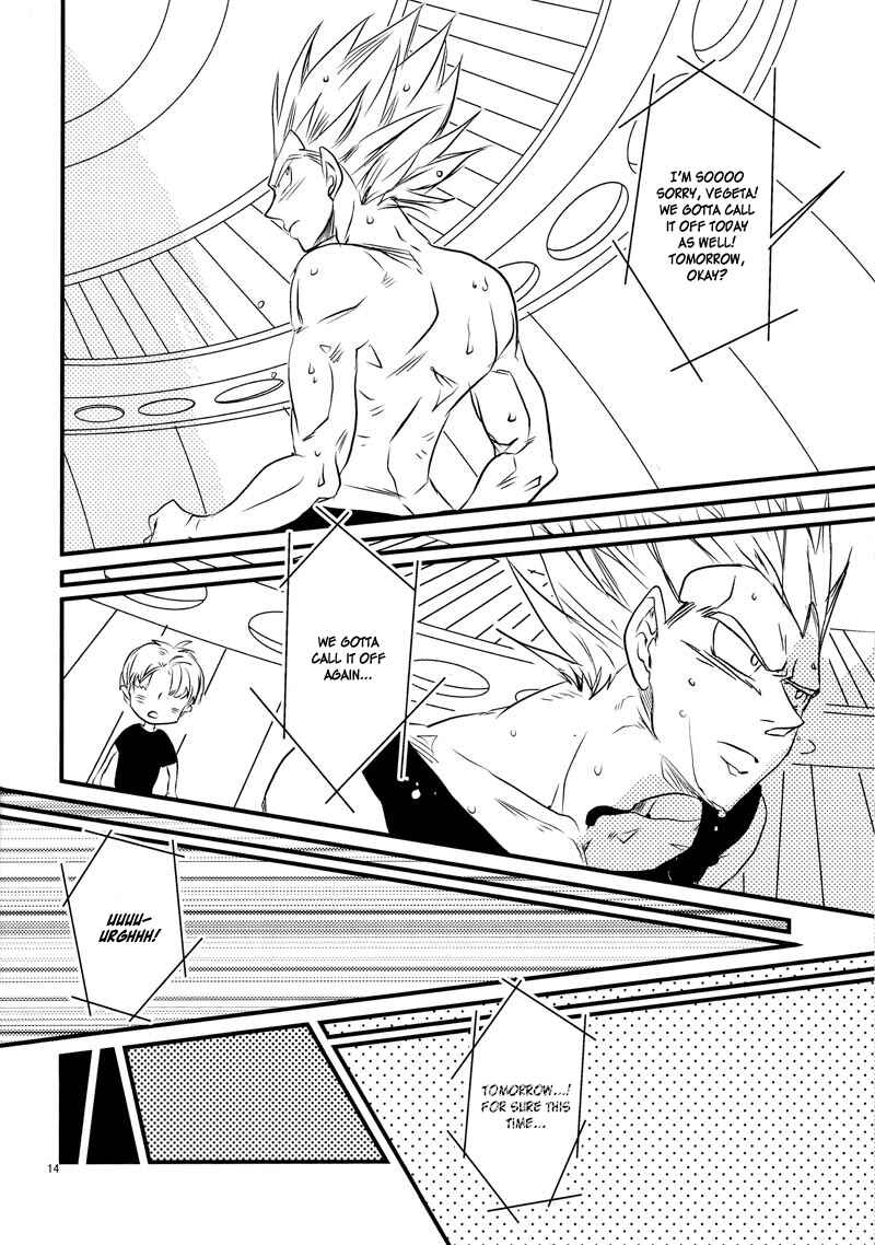 Page 14 Chapter Unknown_41af Dragon Ball Z - Lets hope for a sunny day (Doujinshi)