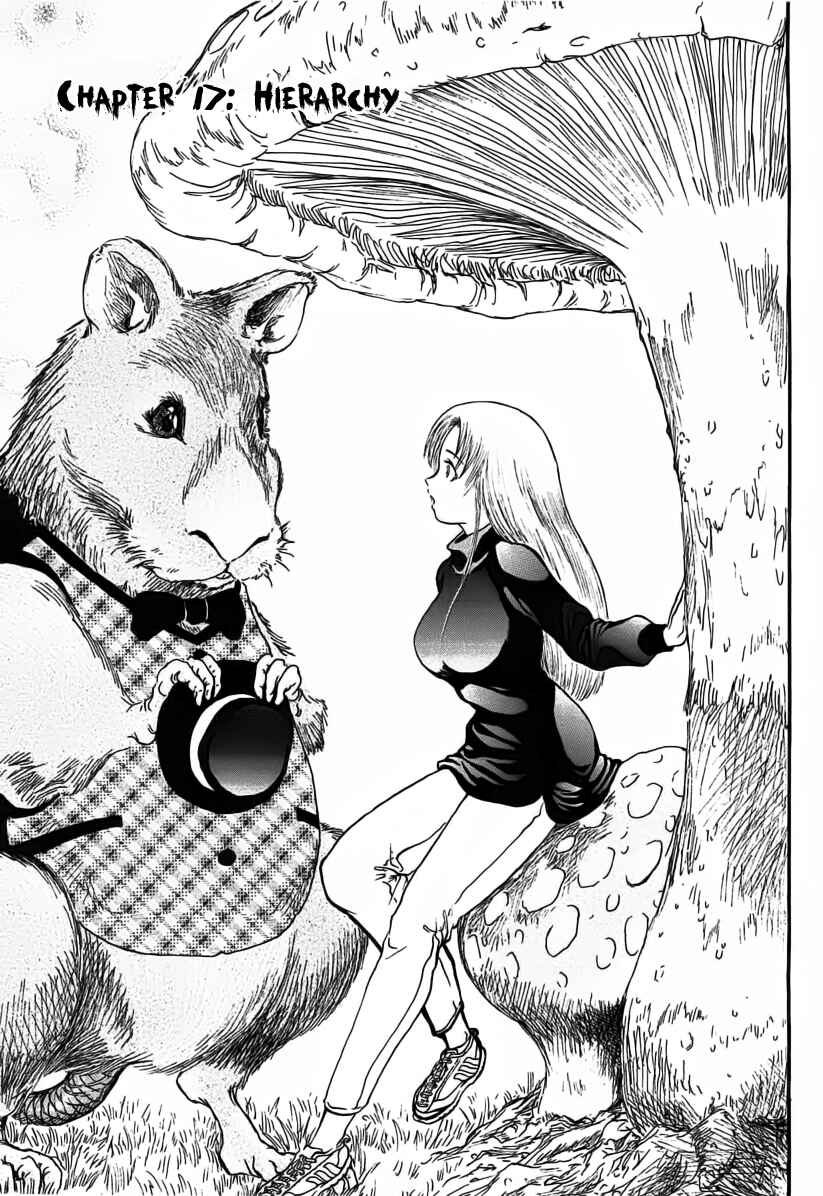 Page 8 Chapter 17 Region
