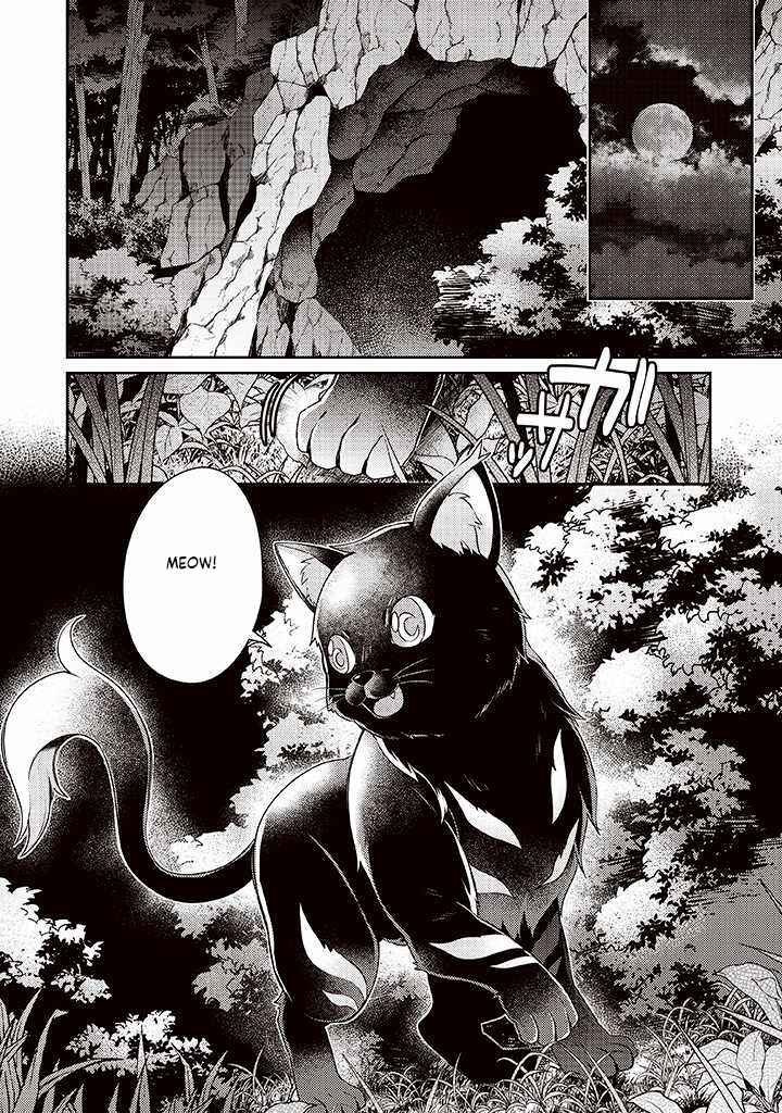 Page 30 Chapter 7 Sekai Saikyou no Shinjuu Tsukai