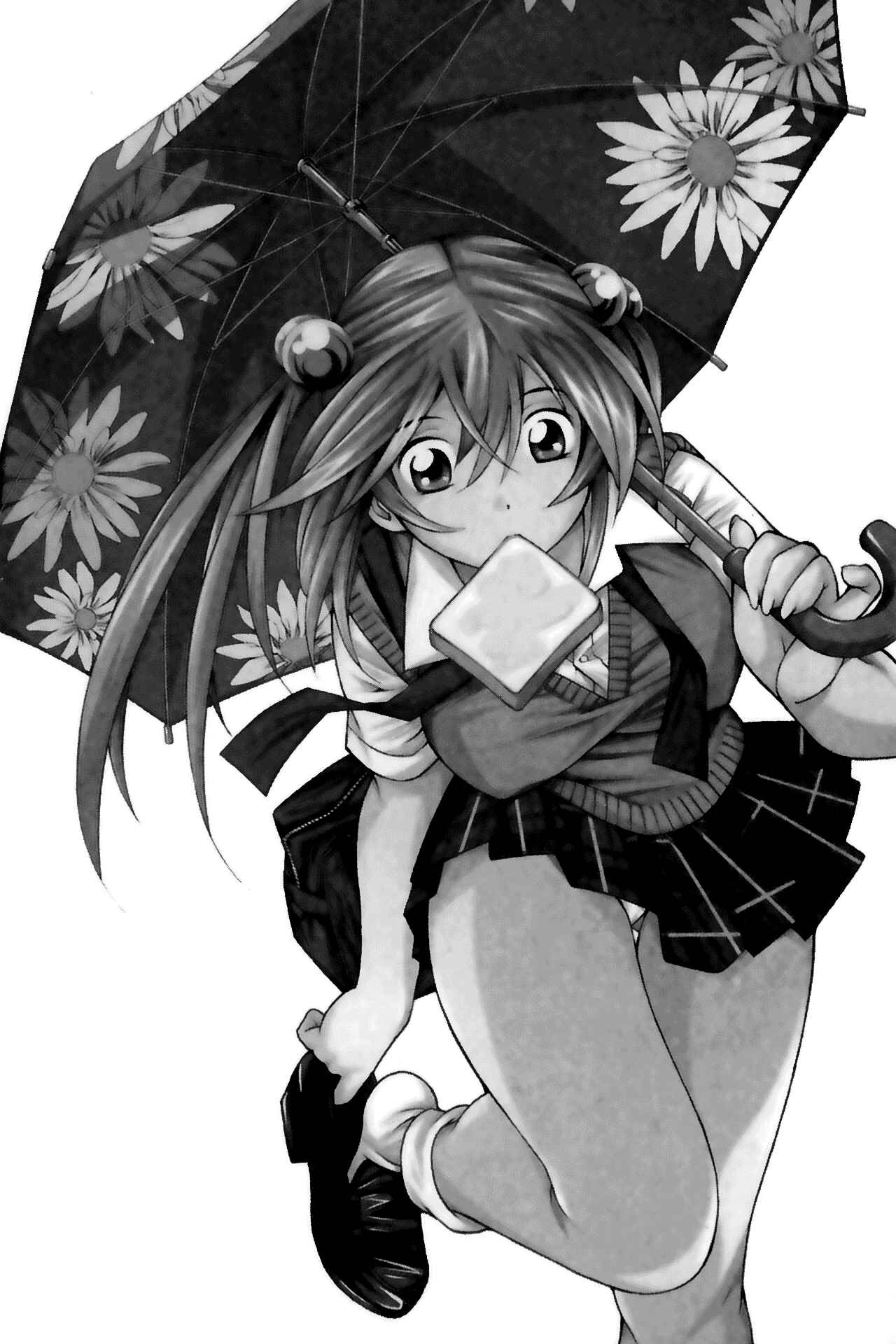 Page 25 Chapter 68 Ikkitousen