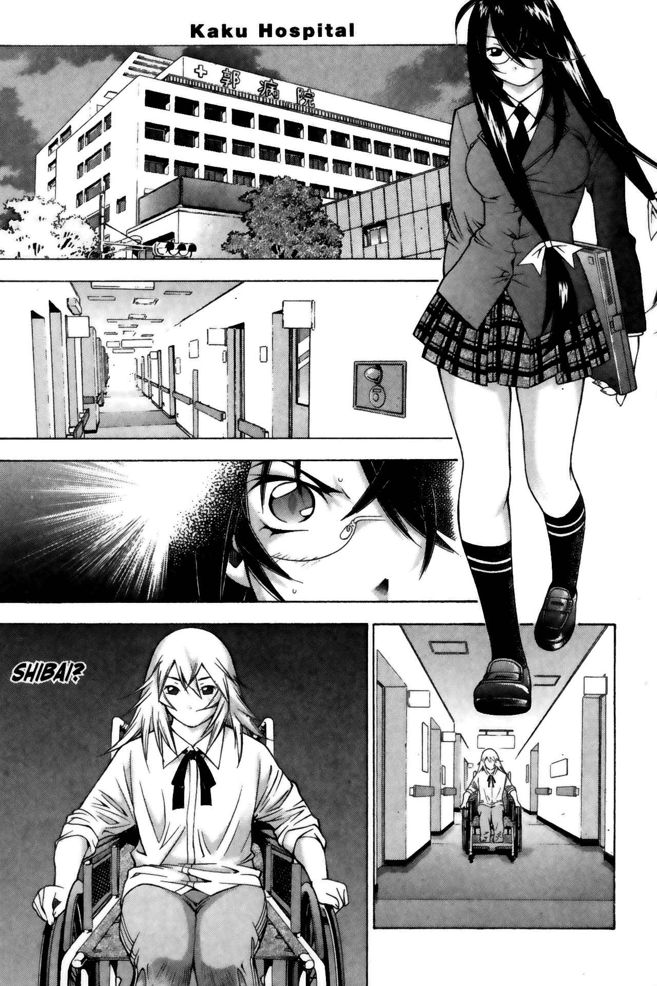 Page 2 Chapter 66 Ikkitousen