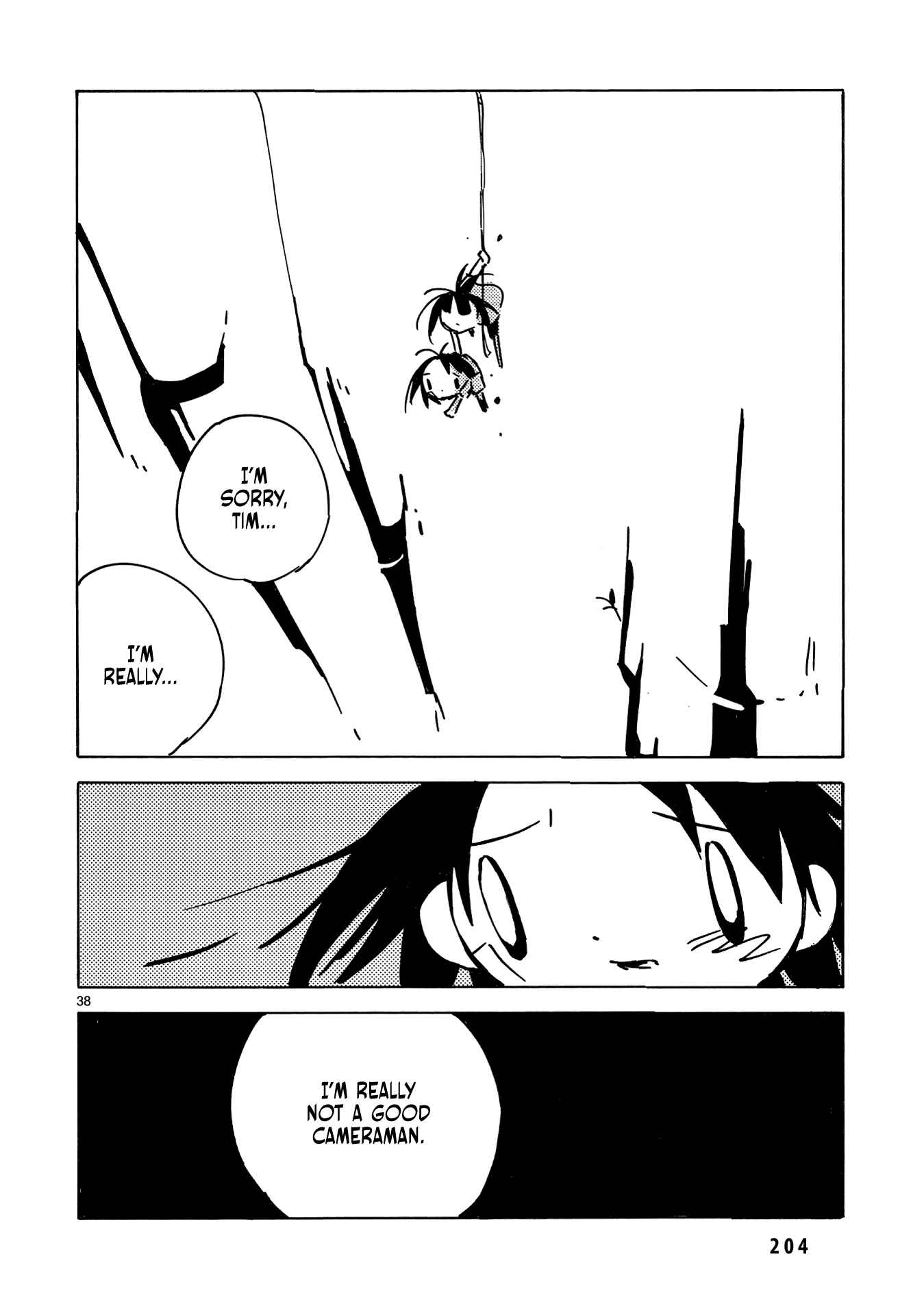 Page 33 Chapter 35 Dien Bien Phu