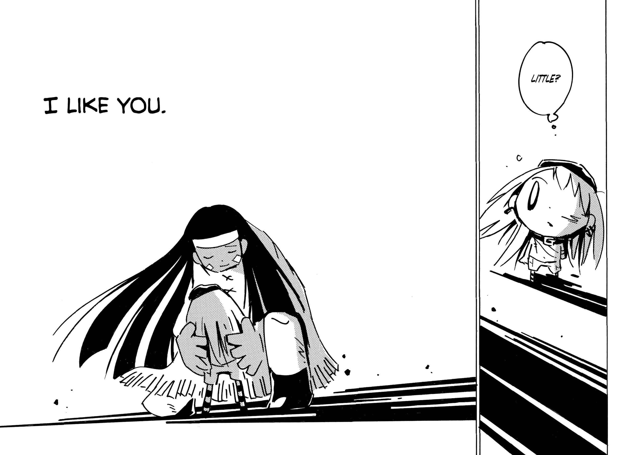 Page 21 Chapter 36 Dien Bien Phu