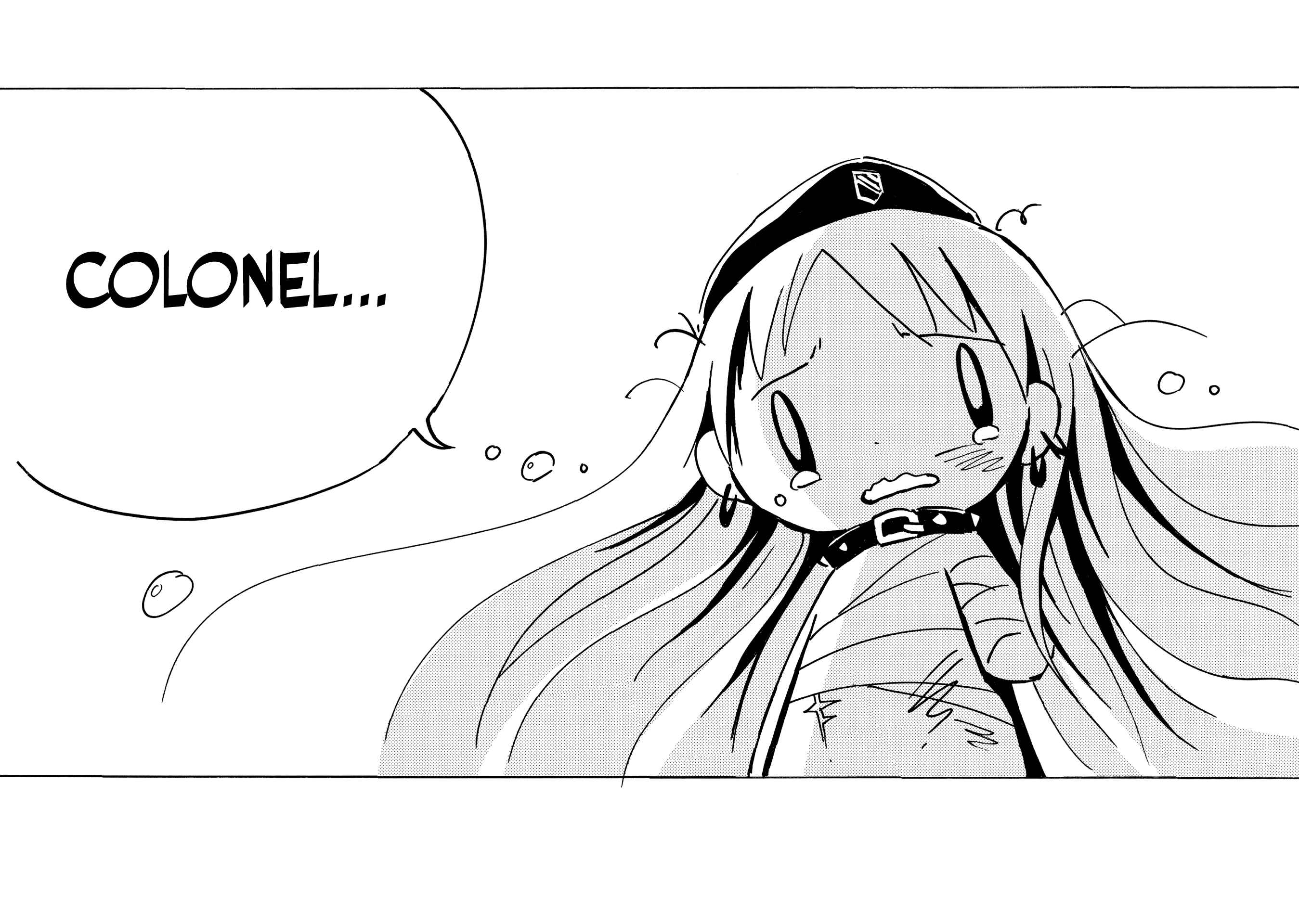 Page 11 Chapter 34 Dien Bien Phu