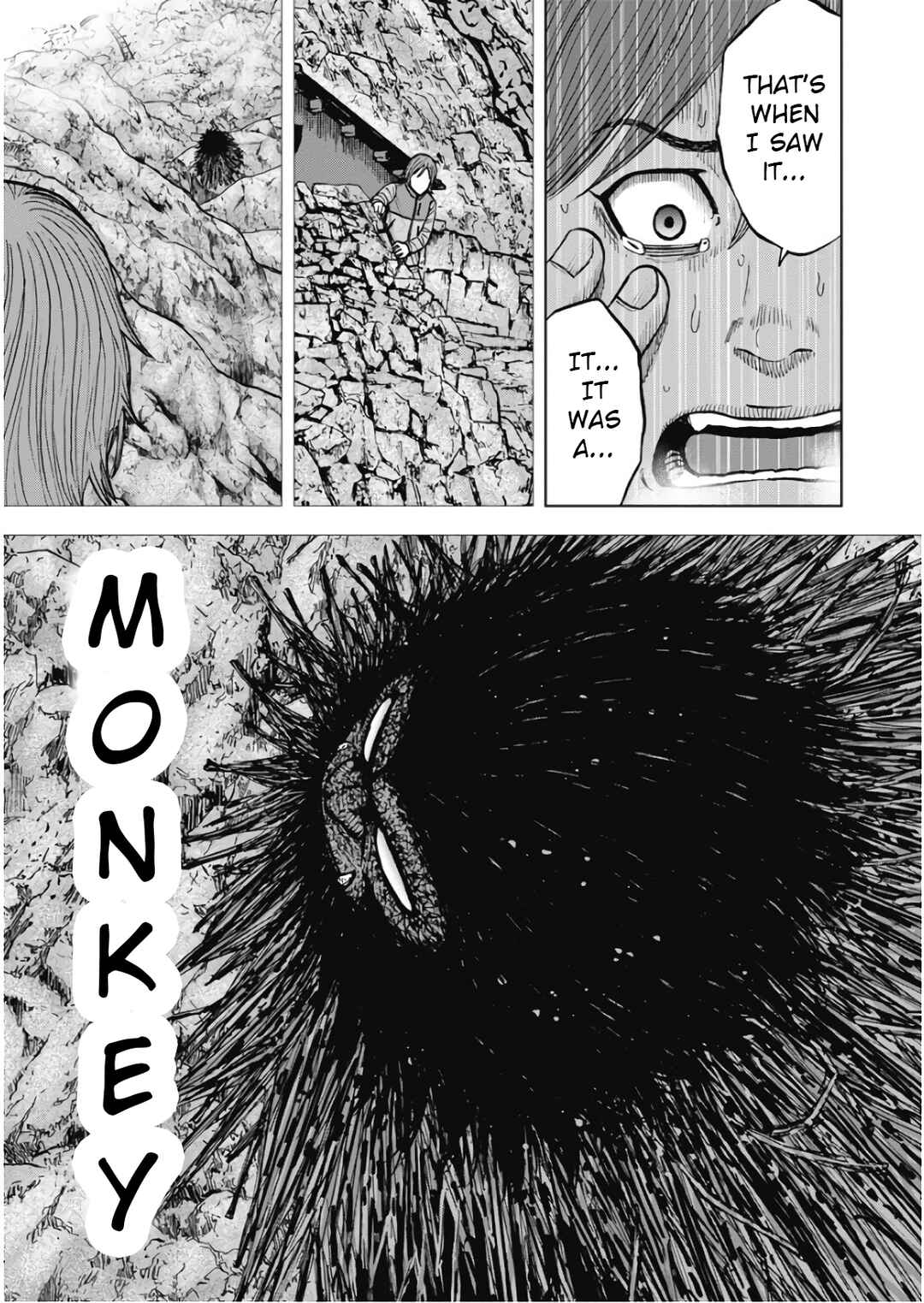 Page 19 Chapter 106 Monkey Peak