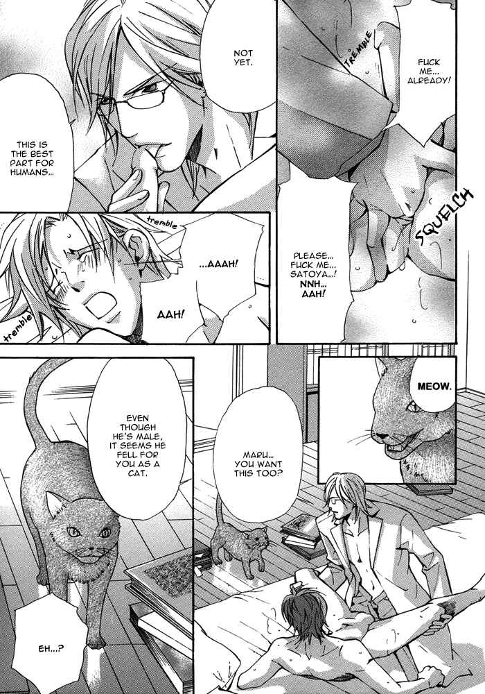 Page 18 Chapter 6 Tour Shangri-La