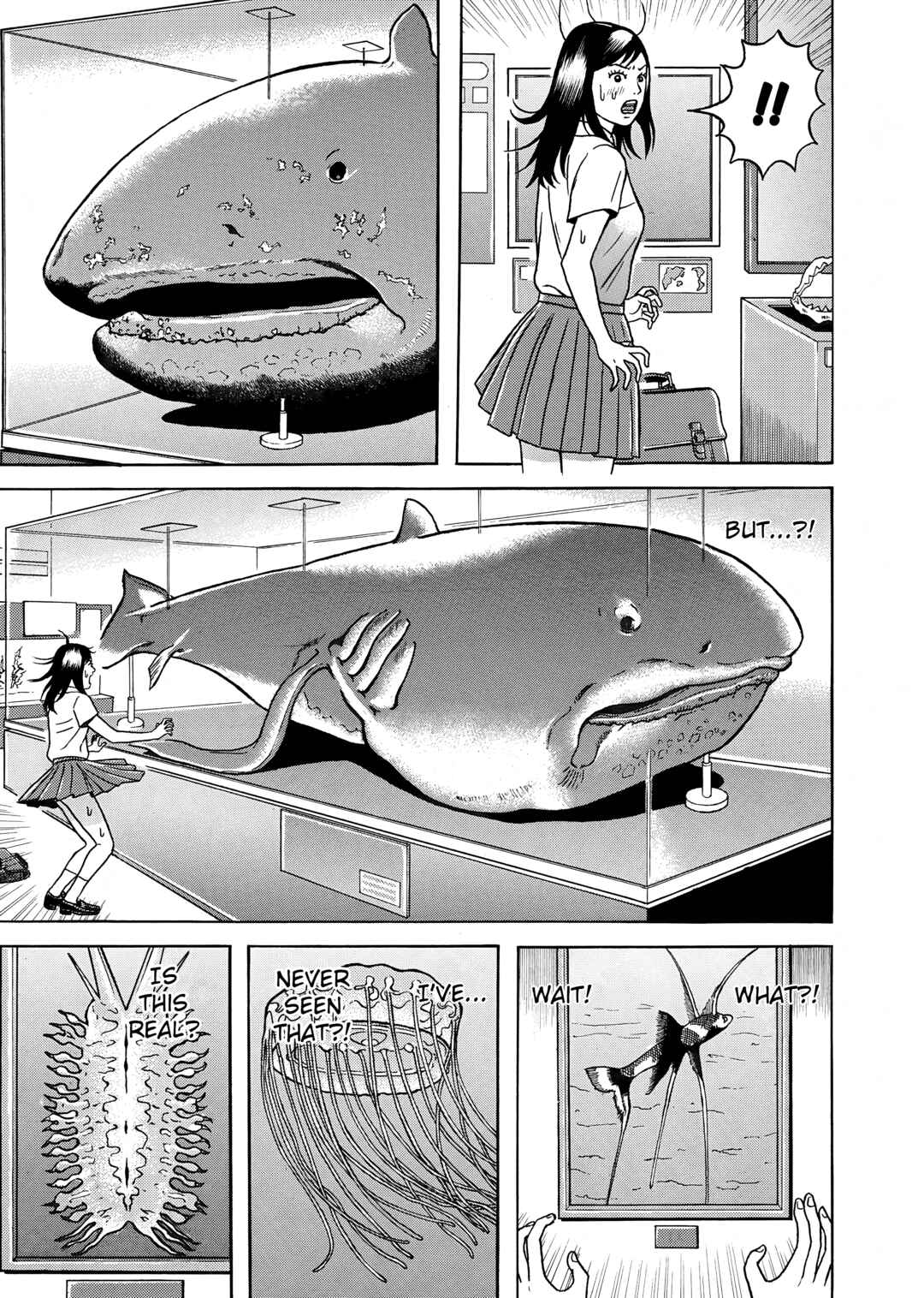 Page 15 Chapter 6 Maiwai