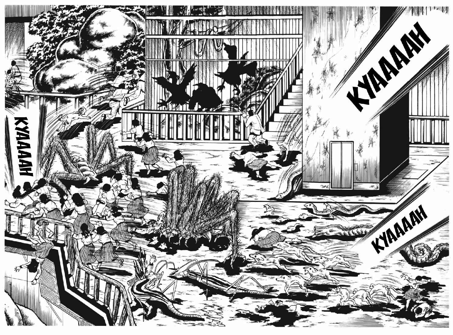 Page 2 Chapter 17 Fourteen