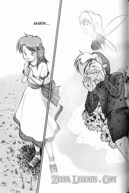 Page 35 Chapter 9 The Legend of Zelda - Links Awakening