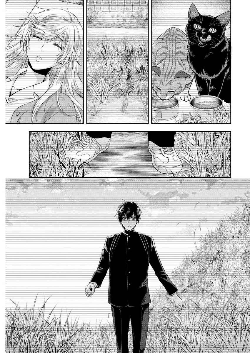 Page 12 Chapter 21 By Spring